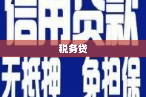 来宾税务贷