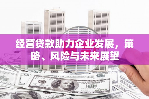 来宾经营贷款助力企业发展，策略、风险与未来展望