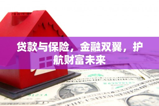 来宾贷款与保险，金融双翼，护航财富未来