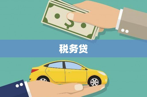 来宾税务贷