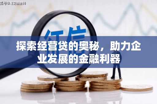来宾探索经营贷的奥秘，助力企业发展的金融利器