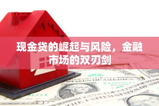 来宾现金贷的崛起与风险，金融市场的双刃剑