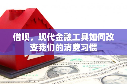 来宾借呗，现代金融工具如何改变我们的消费习惯