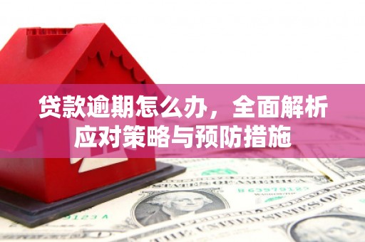 来宾贷款逾期怎么办，全面解析应对策略与预防措施