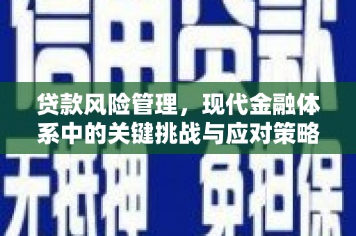 来宾贷款风险管理，现代金融体系中的关键挑战与应对策略