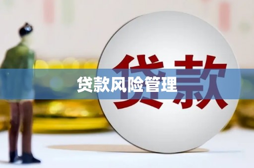 来宾贷款风险管理