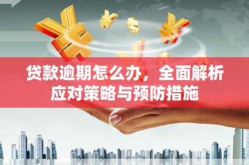 来宾贷款逾期怎么办，全面解析应对策略与预防措施