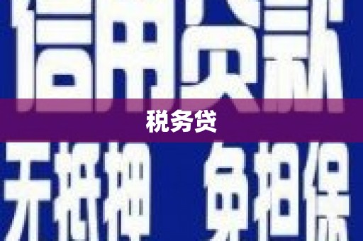 来宾税务贷