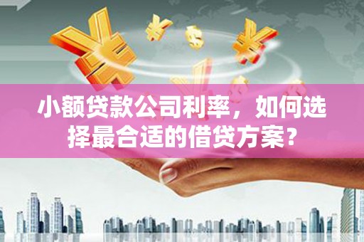 来宾小额贷款公司利率，如何选择最合适的借贷方案？