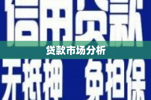 来宾贷款市场分析