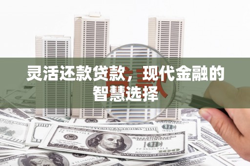 来宾灵活还款贷款，现代金融的智慧选择