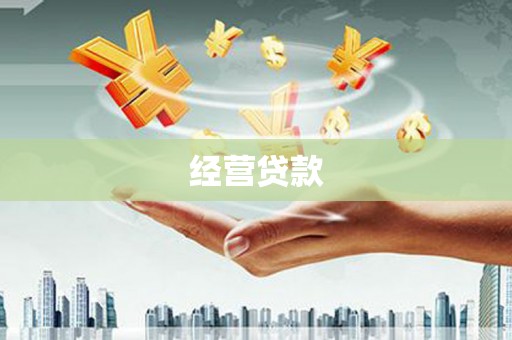 来宾经营贷款