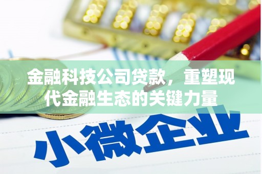 来宾金融科技公司贷款，重塑现代金融生态的关键力量