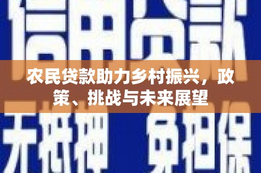 来宾农民贷款助力乡村振兴，政策、挑战与未来展望