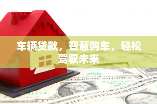 来宾车辆贷款，智慧购车，轻松驾驭未来