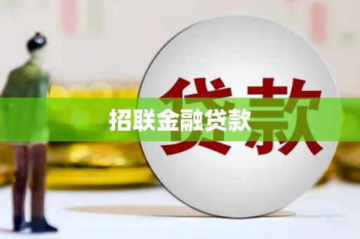 来宾招联金融贷款