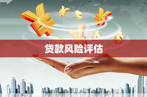 来宾贷款风险评估