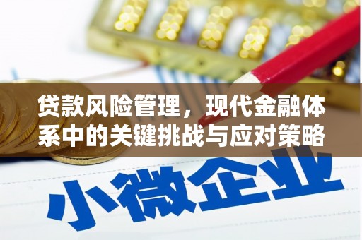 来宾贷款风险管理，现代金融体系中的关键挑战与应对策略