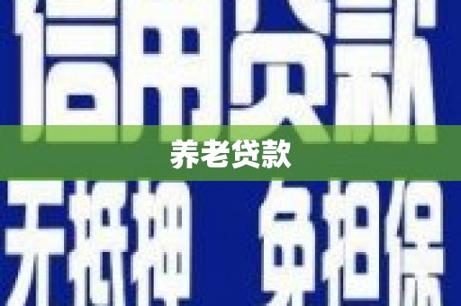 来宾养老贷款