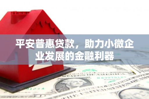 来宾平安普惠贷款，助力小微企业发展的金融利器