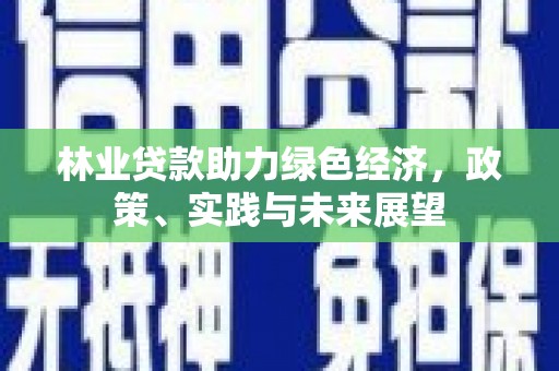 来宾林业贷款助力绿色经济，政策、实践与未来展望