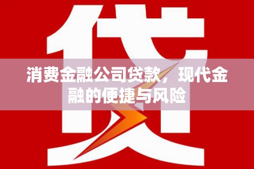 来宾消费金融公司贷款，现代金融的便捷与风险