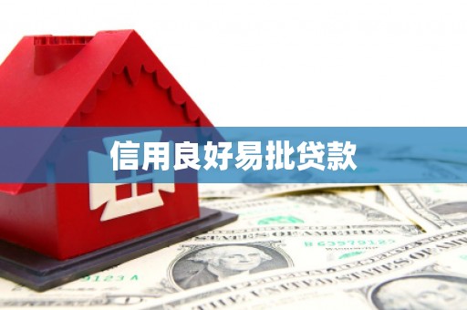 来宾信用良好易批贷款