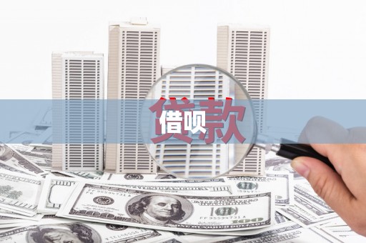 来宾借呗