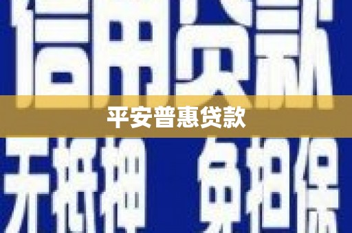 来宾平安普惠贷款